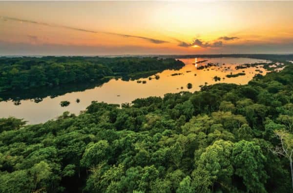 With the TFFF, Brazil is betting on collective investment to preserve tropical forests