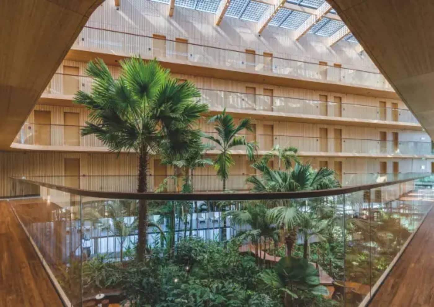 MOSO, a pioneer of innovation in the bamboo industry