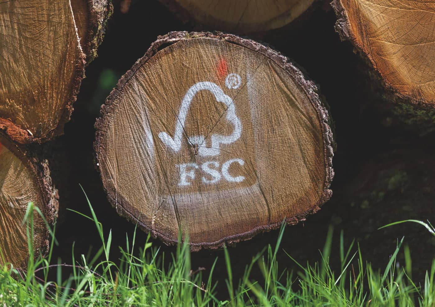 FSC France: Interest in wood product certification remains strong