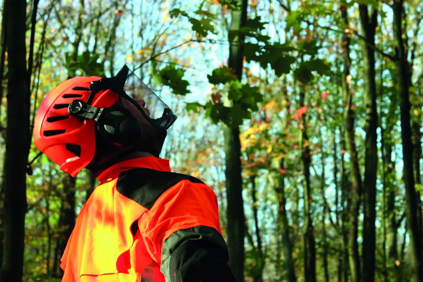 Incendies 2026 : la forêt française face à un changement d’échelle